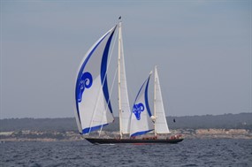 海上帆船赛图片